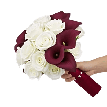 Elegant Calla Lilies