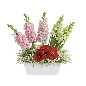 Graceful Lily Display