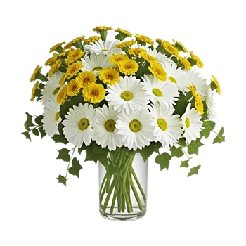 Ivory Blossom Radiance