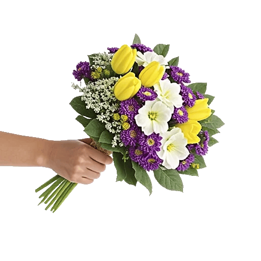 Blossom Harmony Display