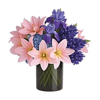 Ivory Blossom Radiance