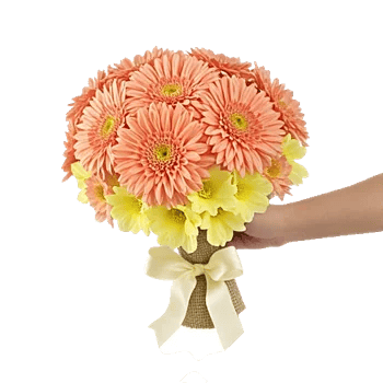 Petal Radiance Bliss