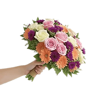 Blushing Rose Symphony