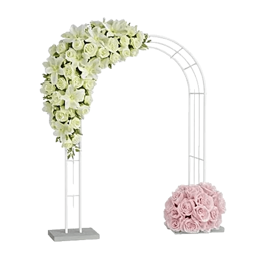 Ivory Blossom Radiance