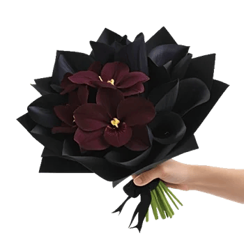 Modern White Orchids