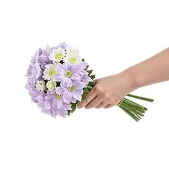 Petal Softness Display