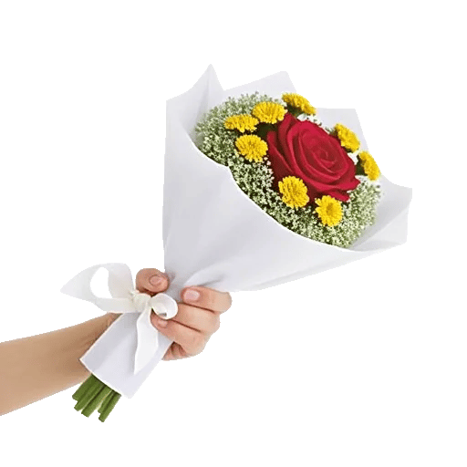 Crimson Rose Elegance