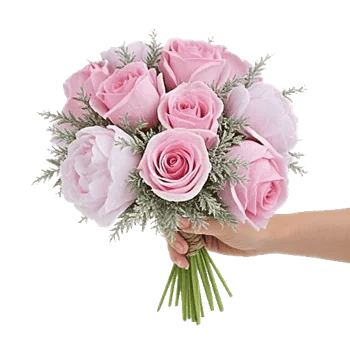 Pink Pastel Roses