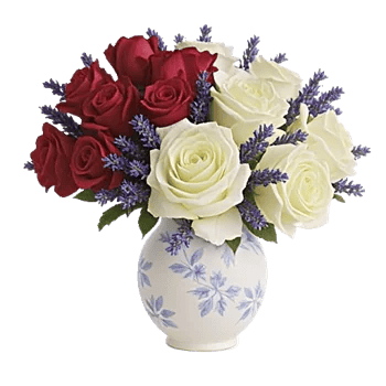 Pink Pastel Roses