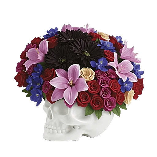 Modern White Orchids