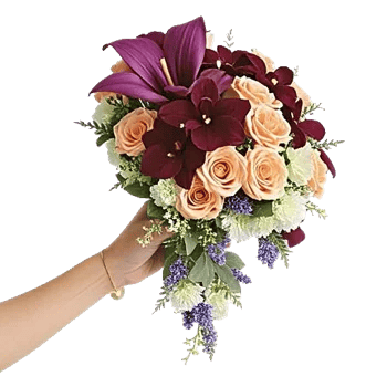 Orchid Bloom Cascade