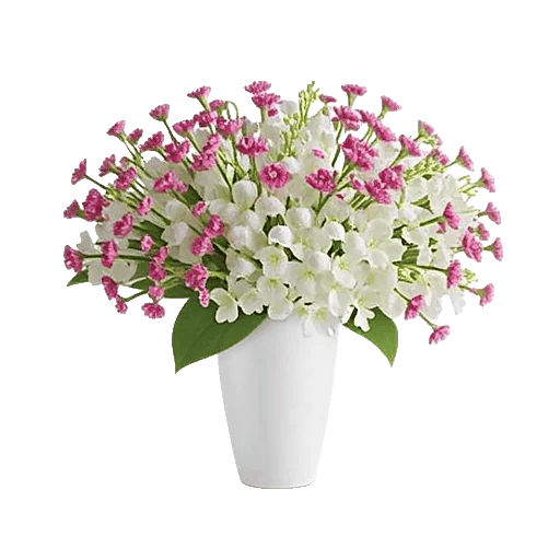 Ivory Blossom Radiance