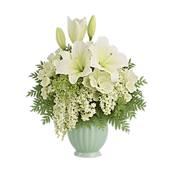 Ivory Blossom Radiance