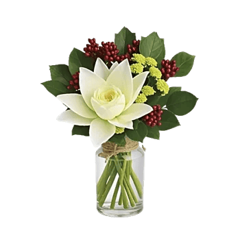 Graceful Lily Display