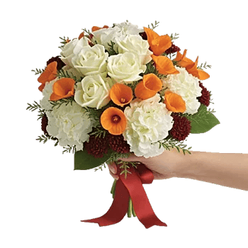 Ivory Garden Grace