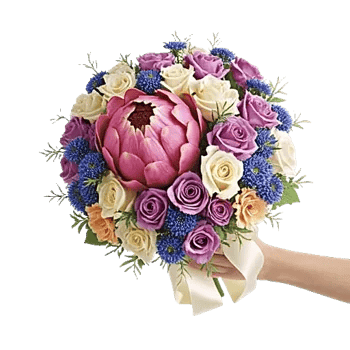 Pastel Pink Roses