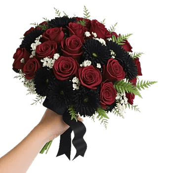 Blushing Rose Symphony