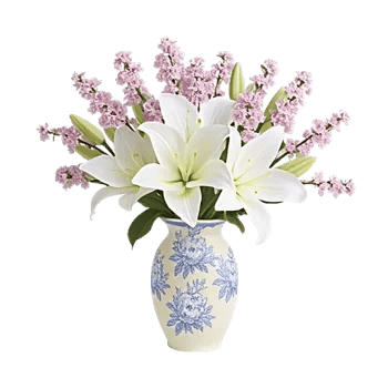 Ivory Blossom Radiance
