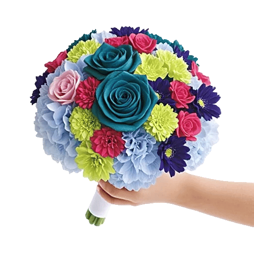 Serene Petal Harmony