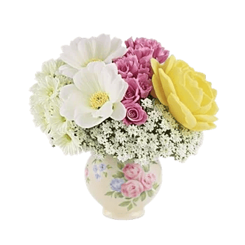 Petal Radiance Bliss