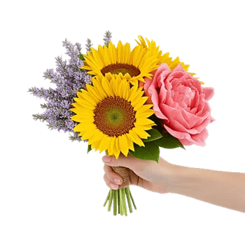 Twinkling Sunflower Dance