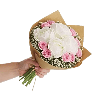 Peony Petal Harmony