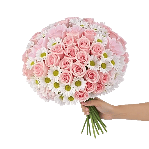 Pastel Pink Roses