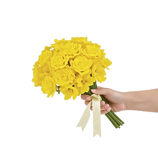 Blossom Harmony Display