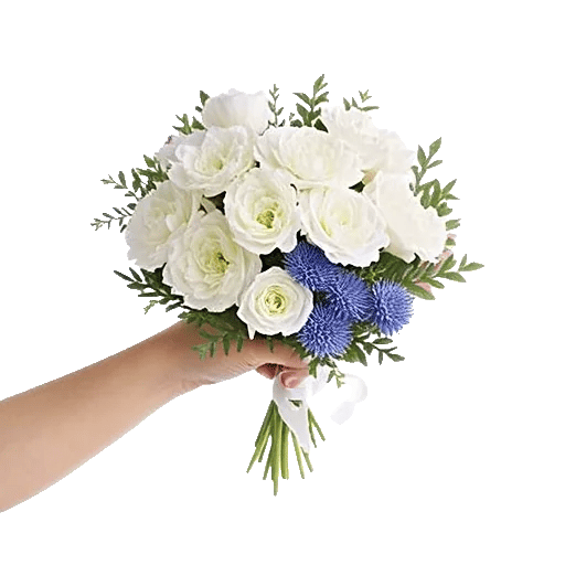 Delicate Petal Cascade