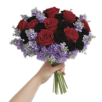 Crimson Rose Elegance