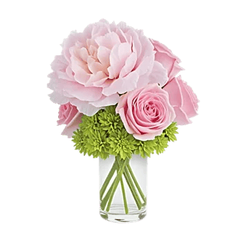 Petal Radiance Bliss