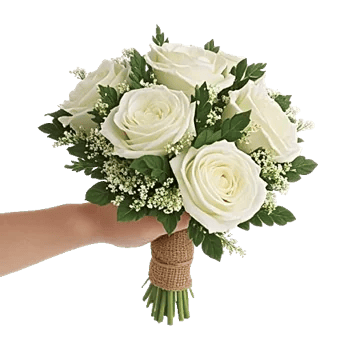 Ivory Garden Grace