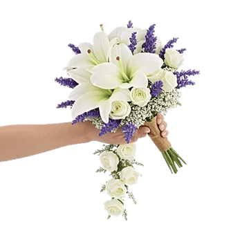 Delicate Petal Cascade