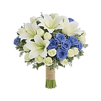 Elegant Calla Lilies