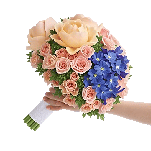 Peony Petal Harmony