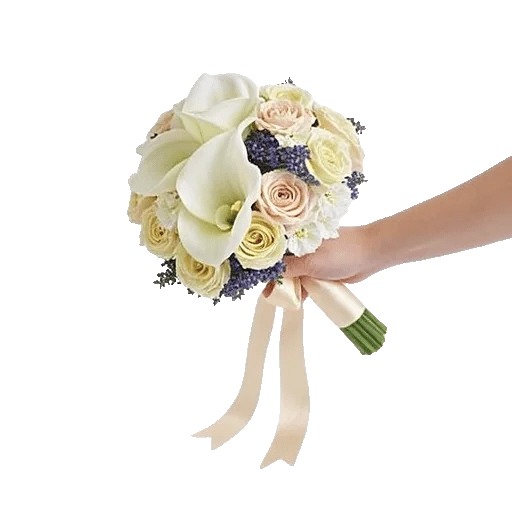 Delicate Petal Cascade