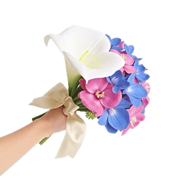 Elegant Calla Lilies