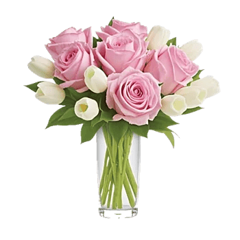 Pink Pastel Roses