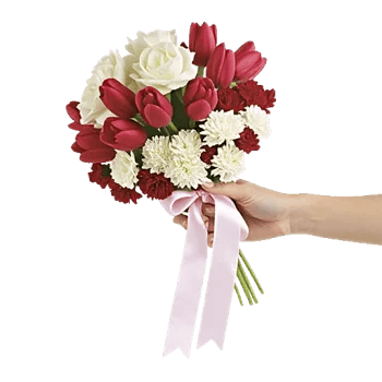 Elegant Calla Lilies