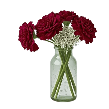 Delicate Petal Cascade