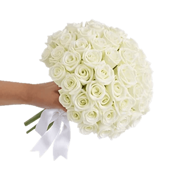 Ivory Garden Grace