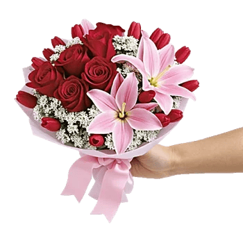 Crimson Rose Elegance