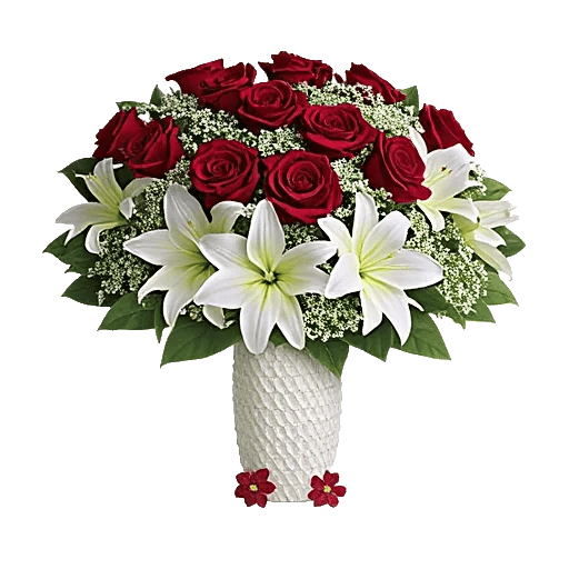 Crimson Rose Elegance