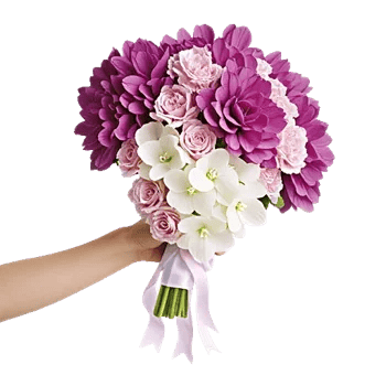 Orchid Bloom Cascade