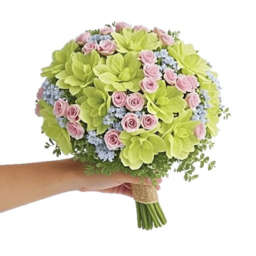 Delicate Petal Cascade