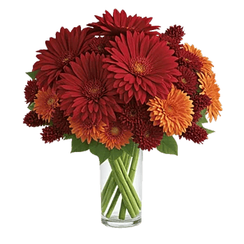 Crimson Blossom Harmony