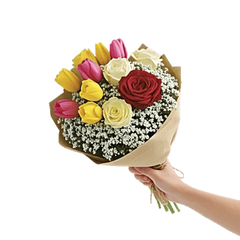 Tulip Rose Mix