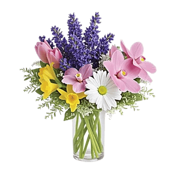 Ivory Blossom Radiance