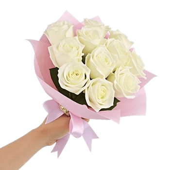 Ivory Garden Grace