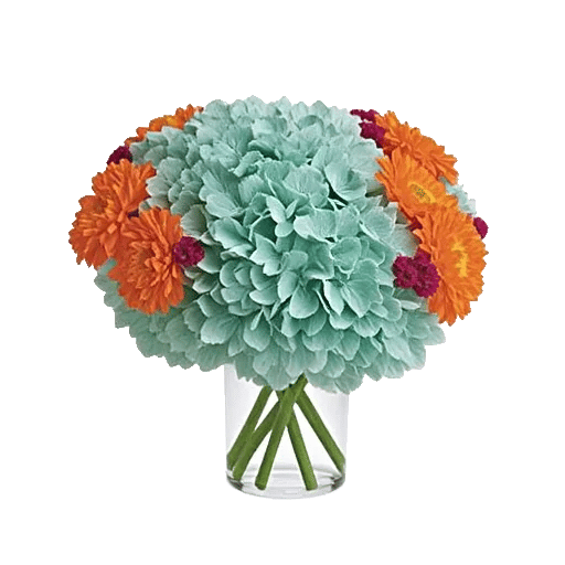 Petal Radiance Bliss